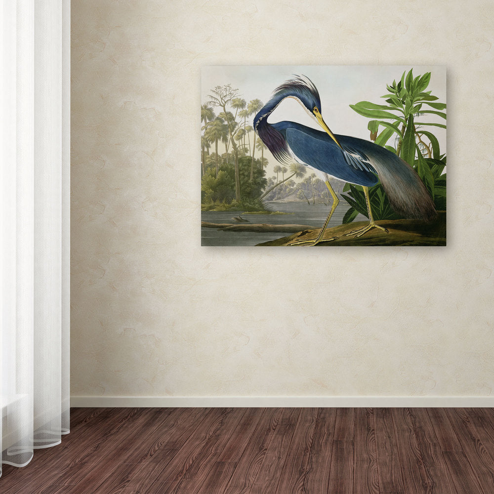 The Curated Nomad John James Audubon 'Louisiana Heron' Canvas Art