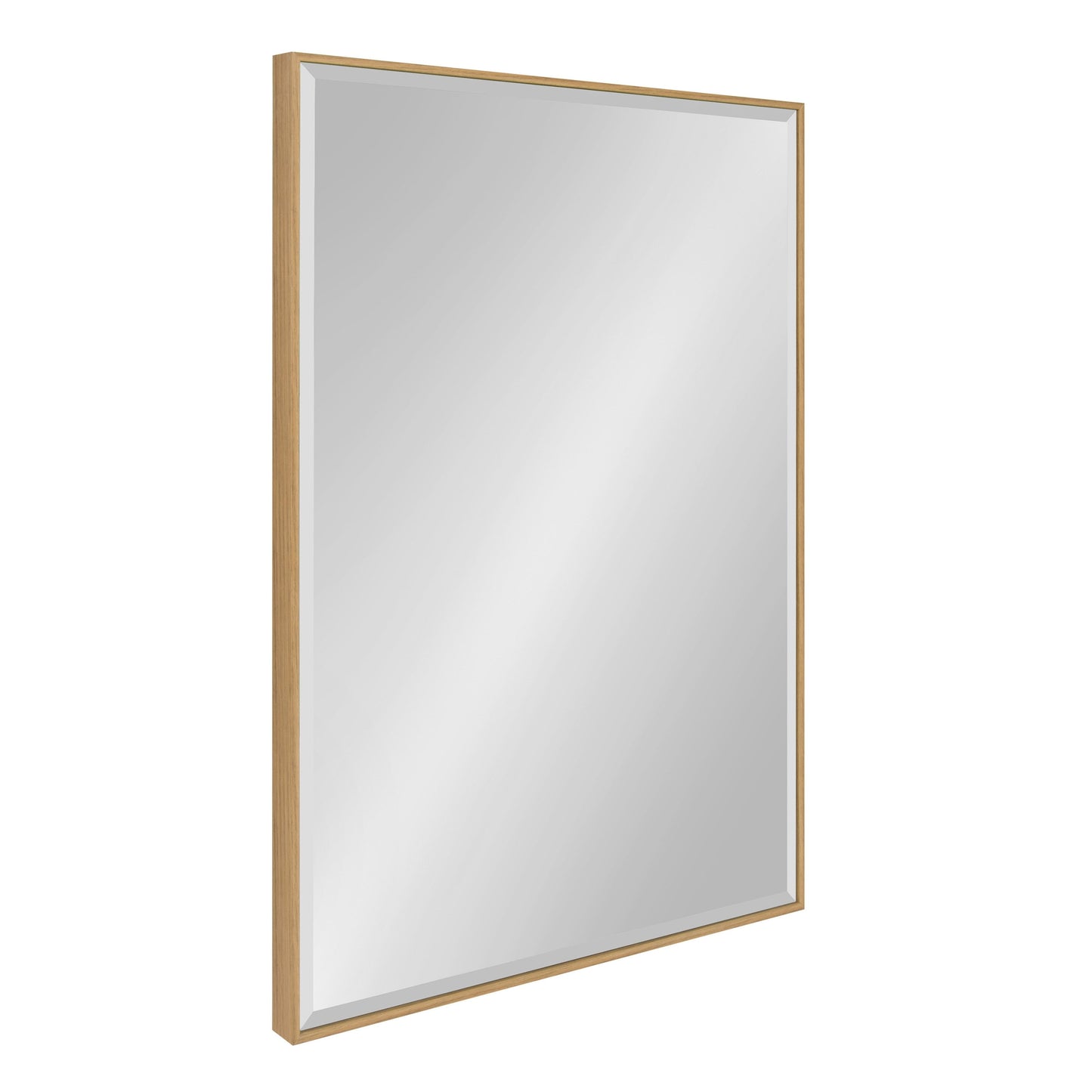 Rhodes Framed Decorative Wall Mirror