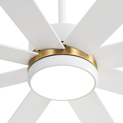 Ventilateur de plafond LED noir à 8 pales de 65 pouces avec éclairage et télécommande