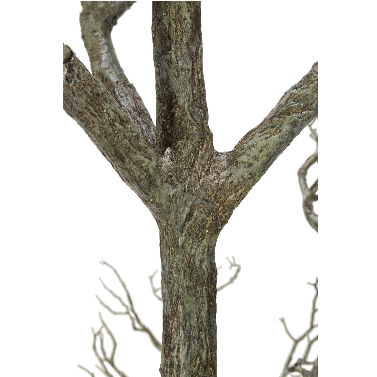 Arbre mort à 96 brindilles