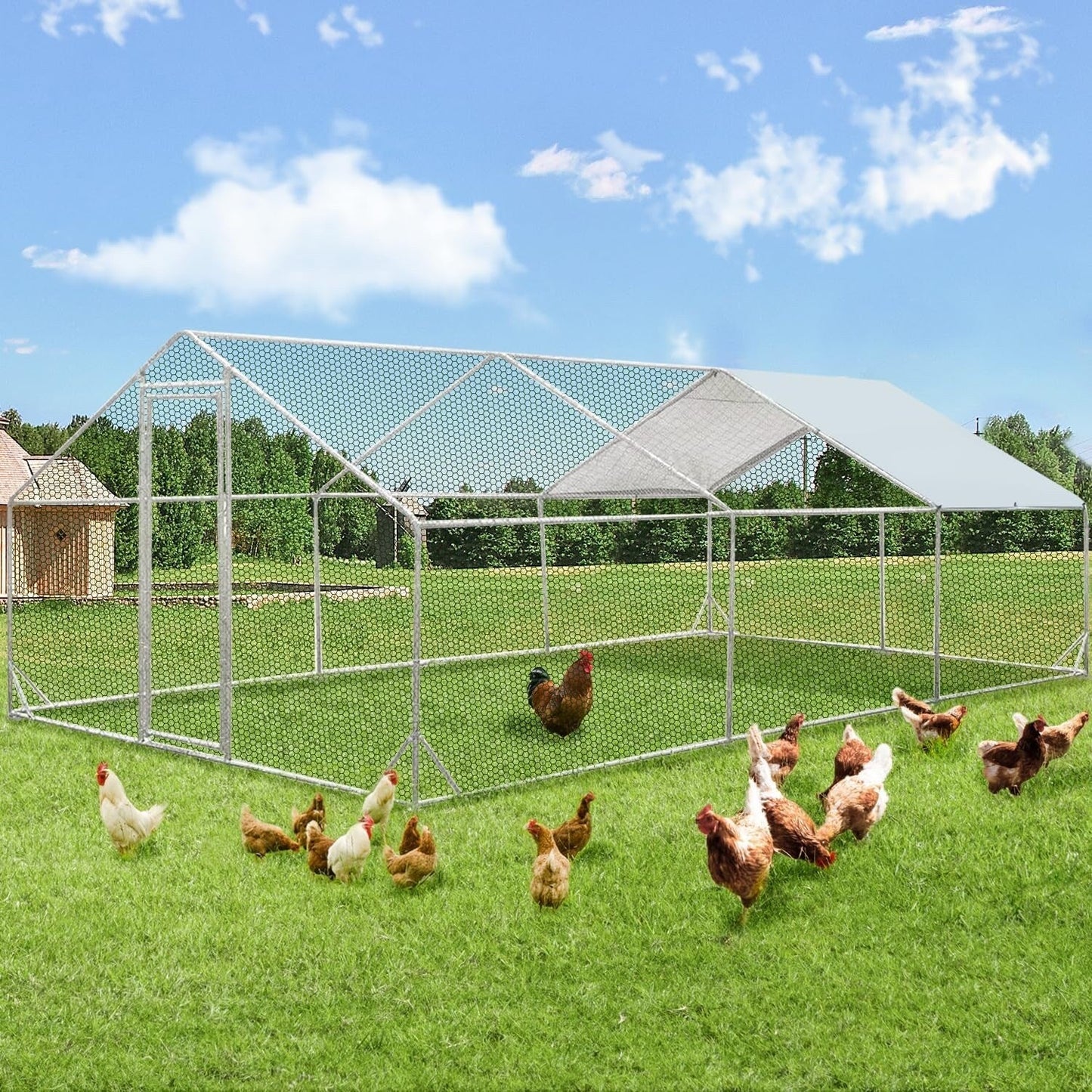 AECOJOY Grand poulailler en métal avec cage à poulets en métal