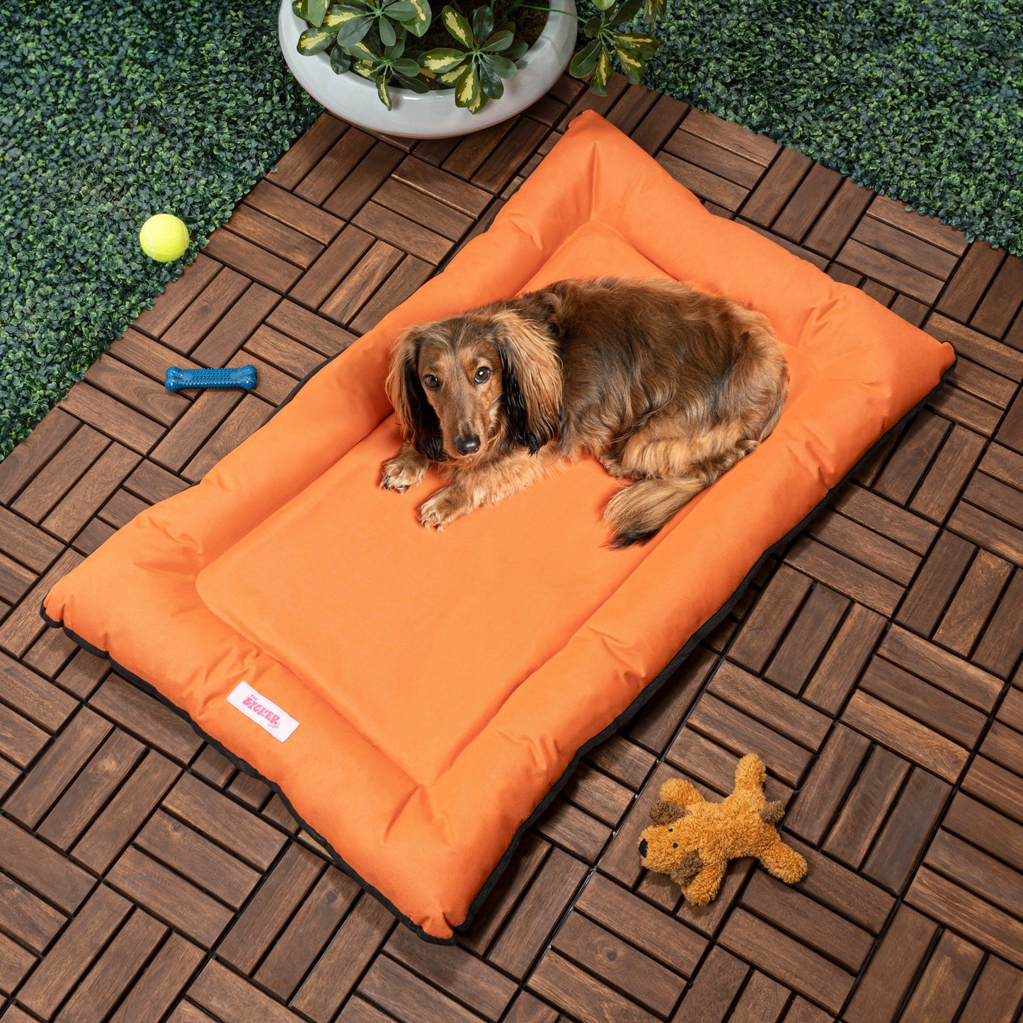 Archie Traditional Oxford Waterproof Indoor/Outdoor Hand-Washable Memory Foam Camping Pet Bed