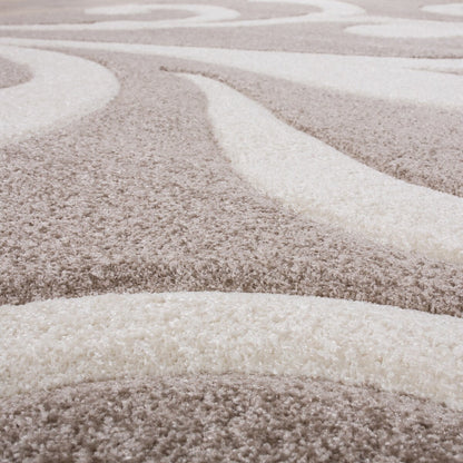 Modern Area Rug Floral Pattern with Contour Cut