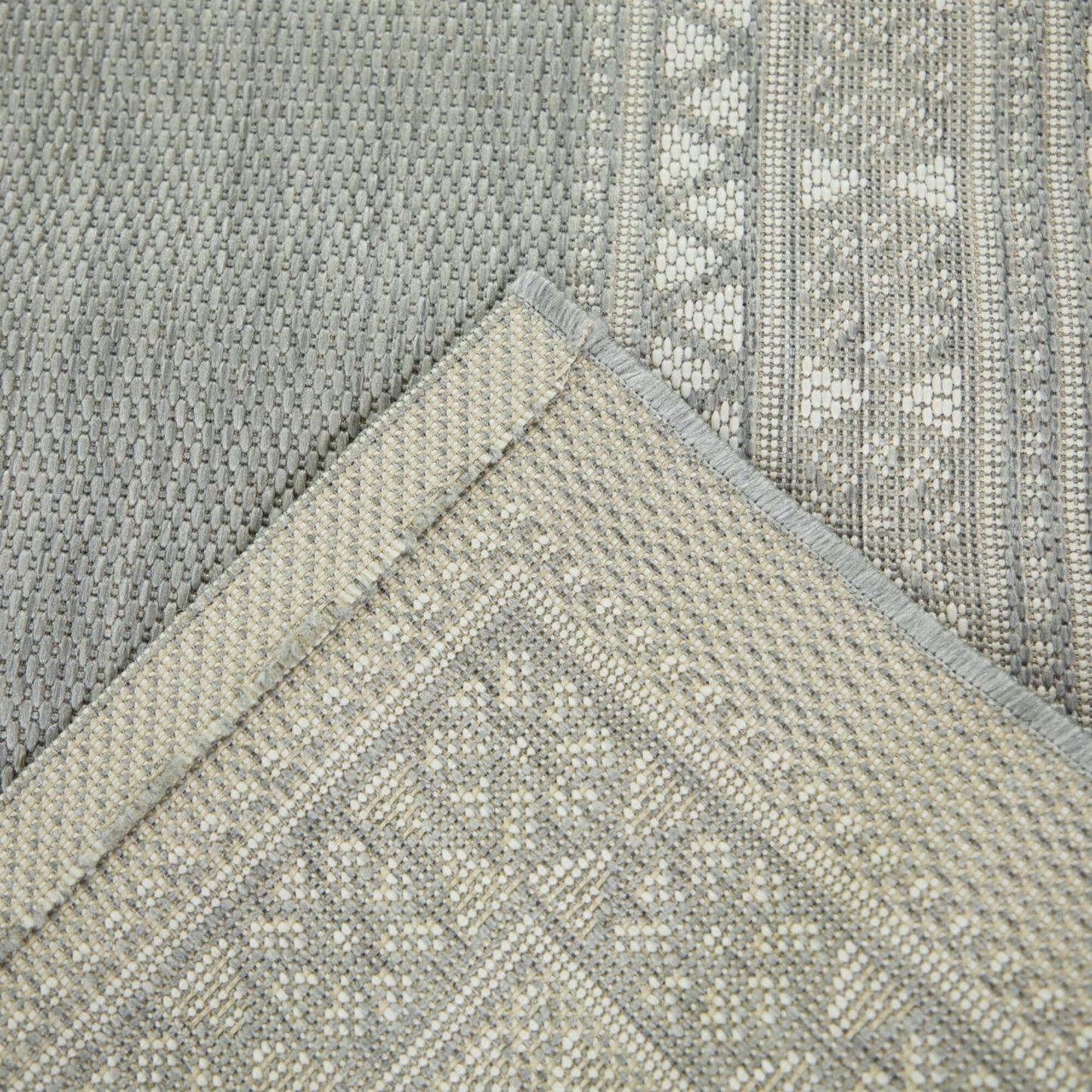 Carew Transitional Border Indoor/Outdoor Area Rug