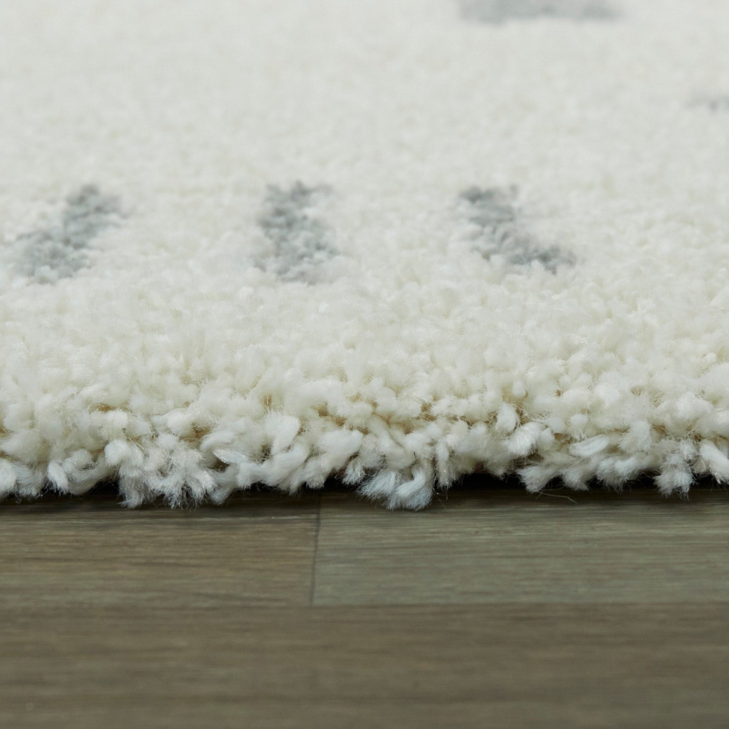 Carson Shag Area Rug