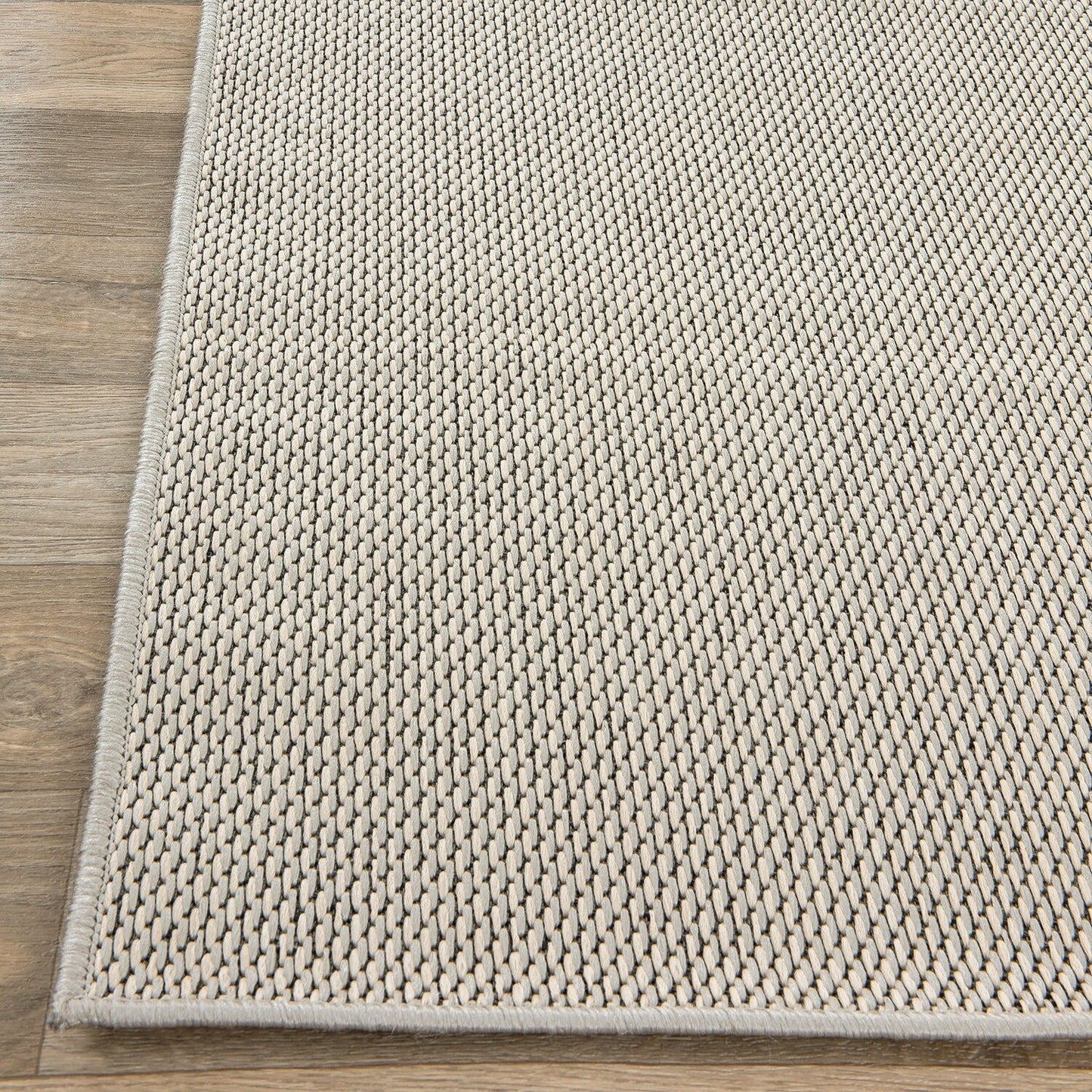 Contemporary Solid Indoor/Outdoor Area Rug