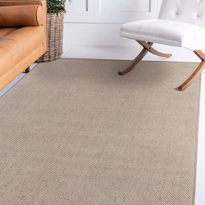 Contemporary Solid Indoor/Outdoor Area Rug