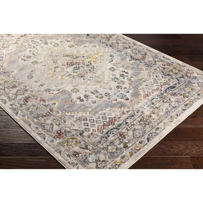 Livabliss Ankara Updated Traditional Medallion Area Rug