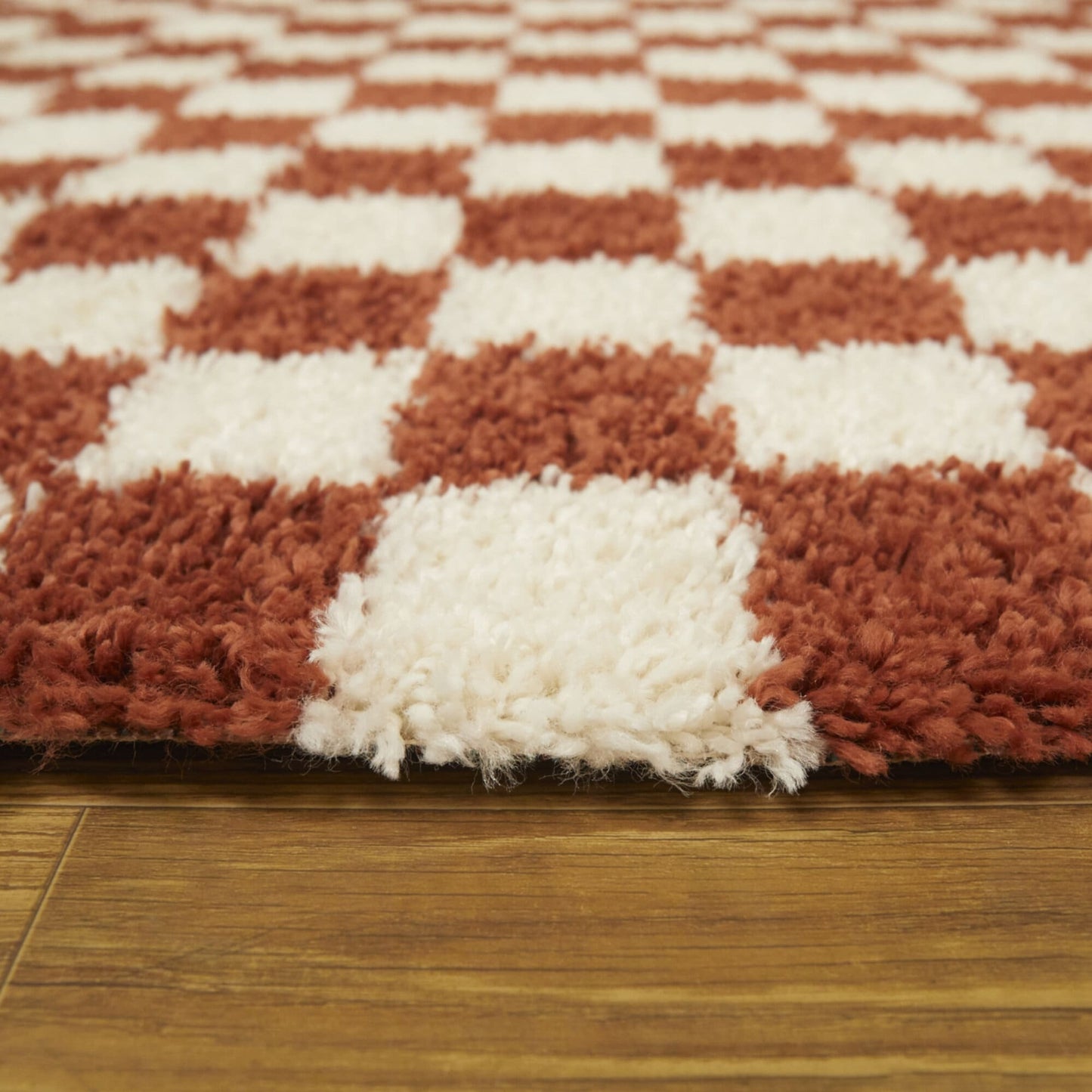 Mackie Checkered Shag Area Rug