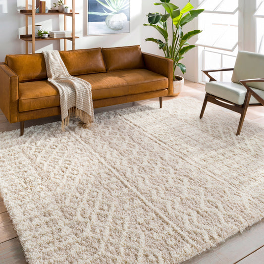 Livabliss Newton Geometric Moroccan Trellis Shag Area Rug