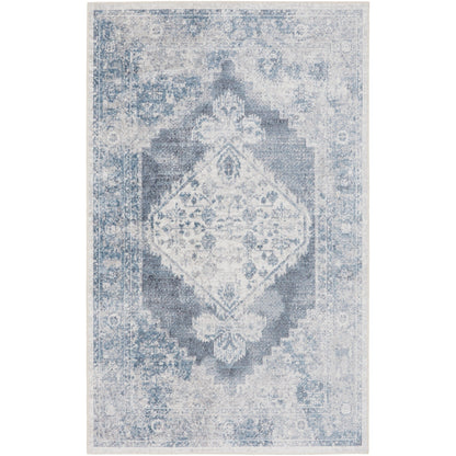 Nourison Abby Machine Washable Indoor only Persian Distressed Area Rug