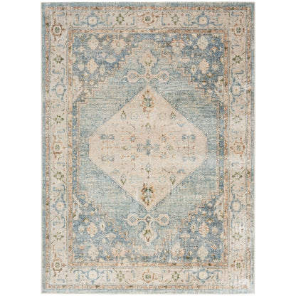 Nourison Abby Machine Washable Indoor only Persian Distressed Area Rug