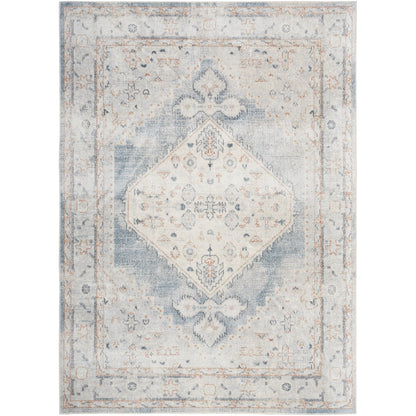 Nourison Abby Machine Washable Indoor only Persian Distressed Area Rug