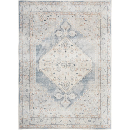 Nourison Abby Machine Washable Indoor only Persian Distressed Area Rug