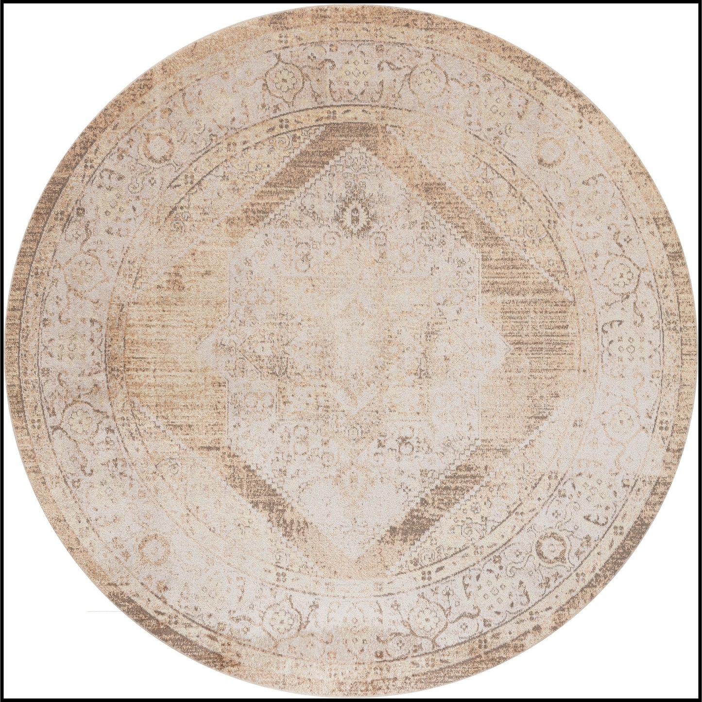 Nourison Abby Machine Washable Indoor only Persian Distressed Area Rug