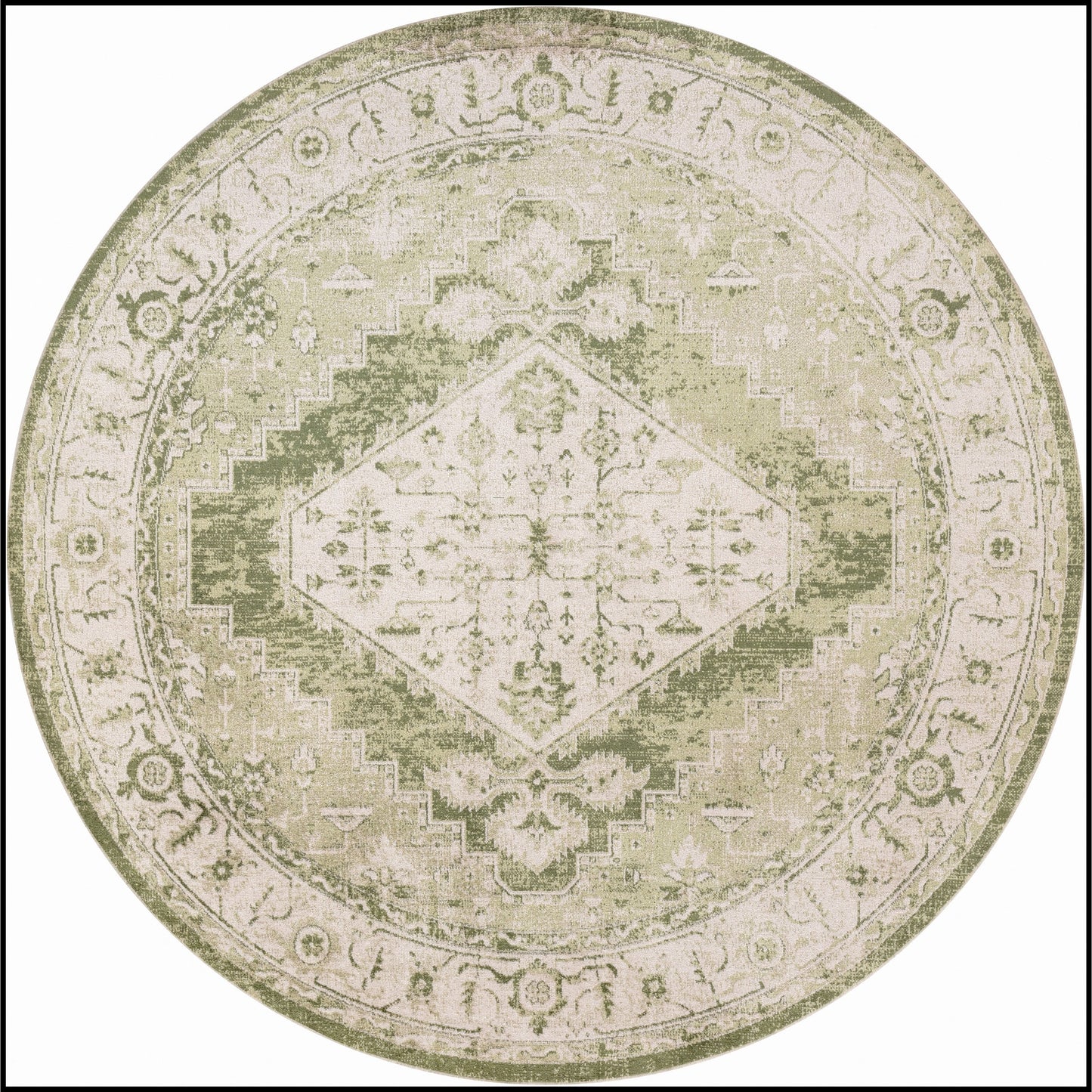 Nourison Abby Machine Washable Indoor only Persian Distressed Area Rug