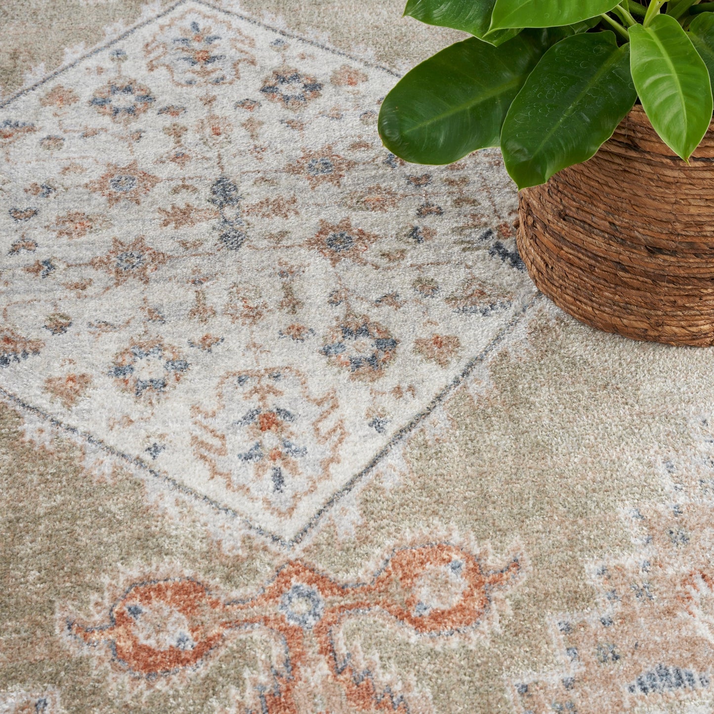 Nourison Astra Machine Washable Distressed Area Rug
