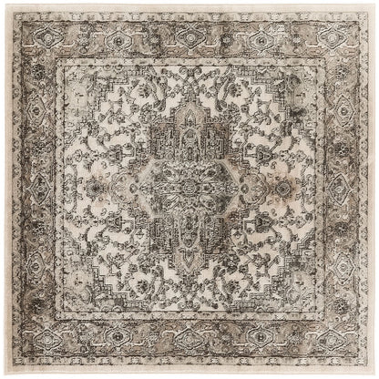 Nourison Concerto Classic Persian Medallion Area Rug.