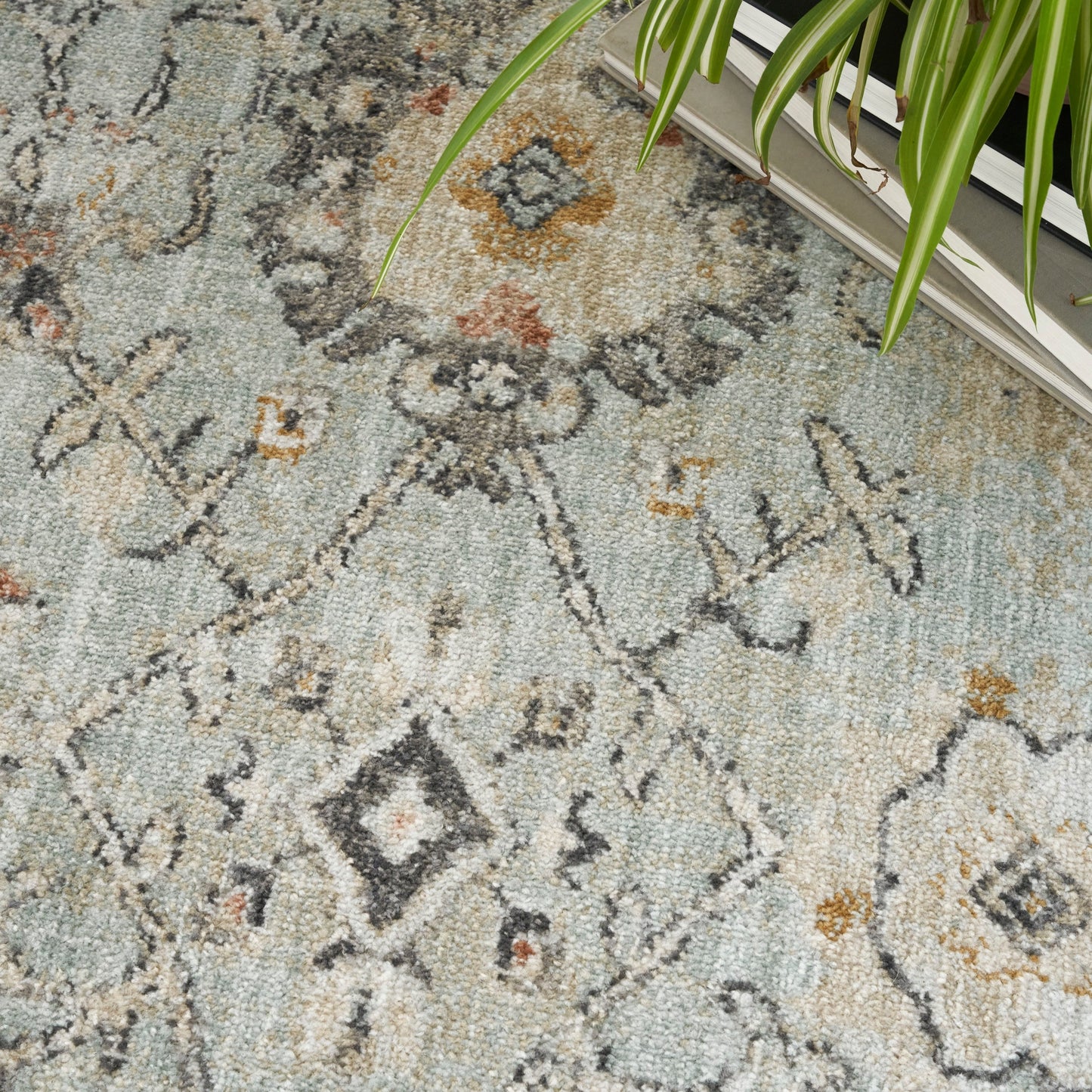 Nourison Oushak Home Indoor Persian Area Rug