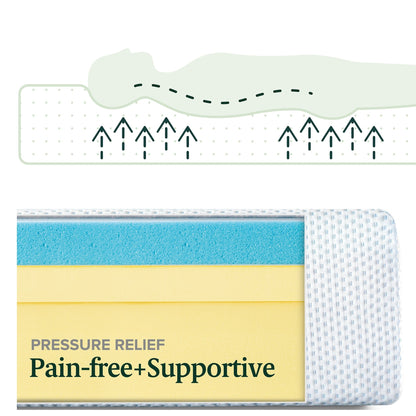 Matelas en mousse à mémoire de forme Priage by Zinus de 8 pouces au thé vert