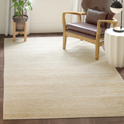 SAFAVIEH Adirondack Mieko Modern Ombre Distressed Area Rug