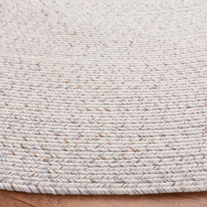 SAFAVIEH Handmade Braided Anthi Casual Rug