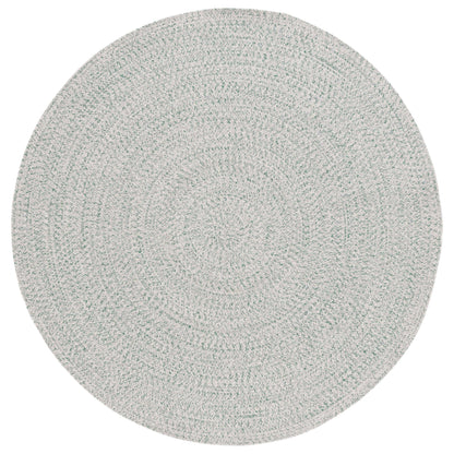 SAFAVIEH Handmade Braided Anthi Casual Rug