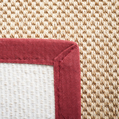 SAFAVIEH Natural Fiber Venus Casual Border Sisal Rug