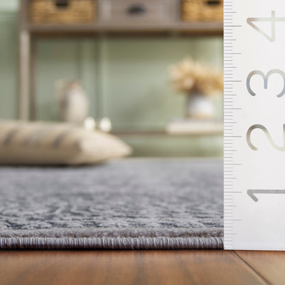 SAFAVIEH Reflection Elzada Oriental Rug