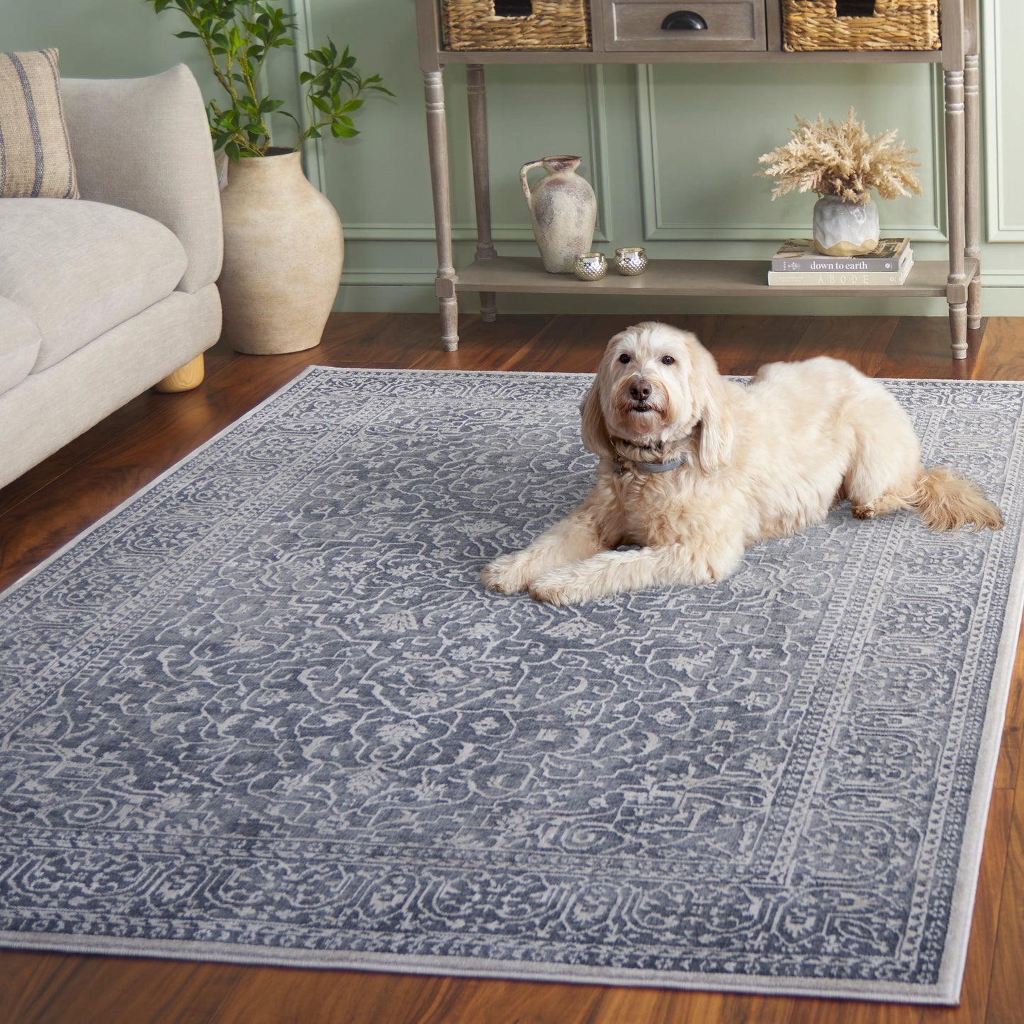 SAFAVIEH Reflection Elzada Oriental Rug