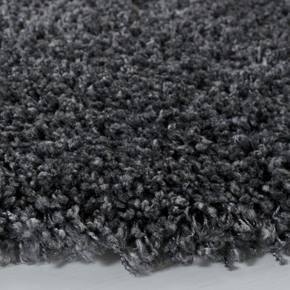 SAFAVIEH, Santa Monica Mahalia Shag 2-inch Thick Area Rug